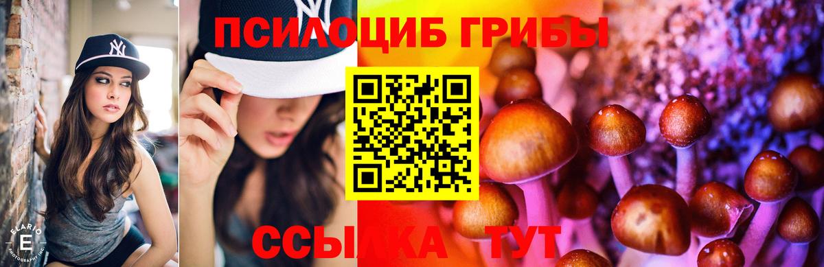 Галлюциногенные грибы GOLDEN TEACHER  Вход с VPN  Галлюциногенные грибы Magic Shrooms  Людиново 